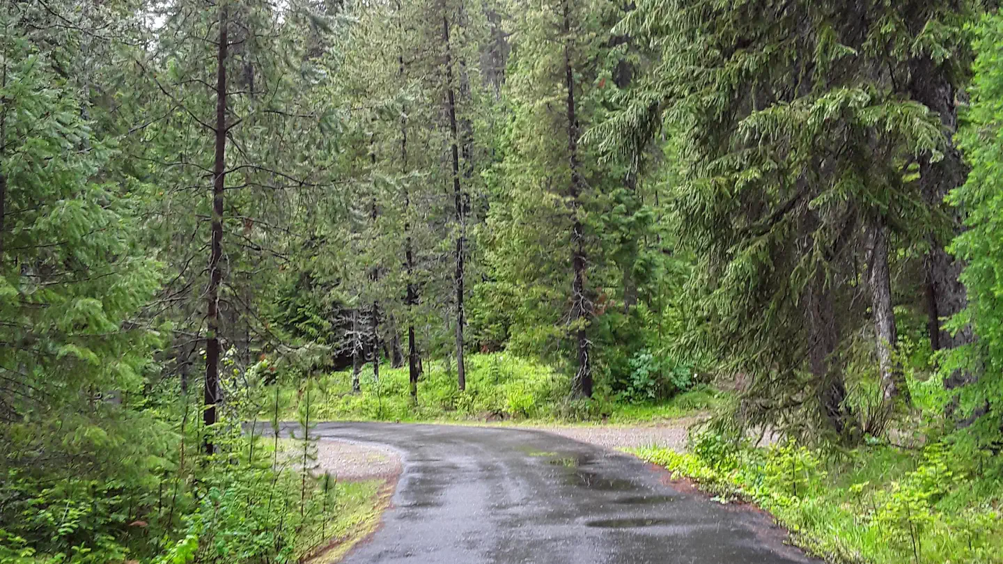 Cabin City Campground (MT) photo