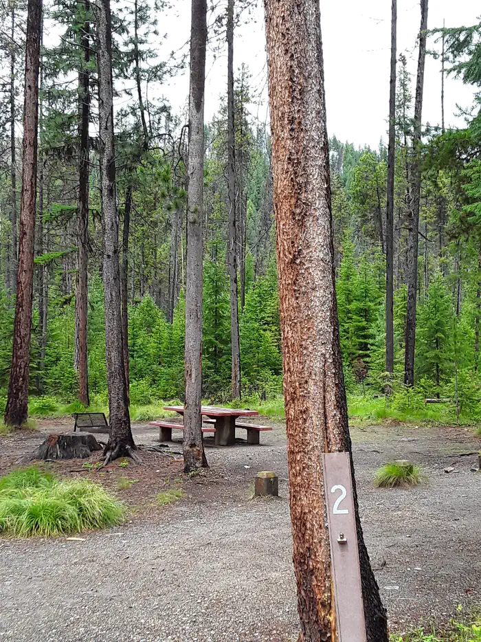 Cabin City Campground (MT) photo 3