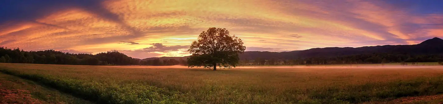 CADES COVE CAMPGROUND photo