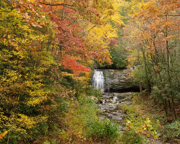 CADES COVE CAMPGROUND photo 4