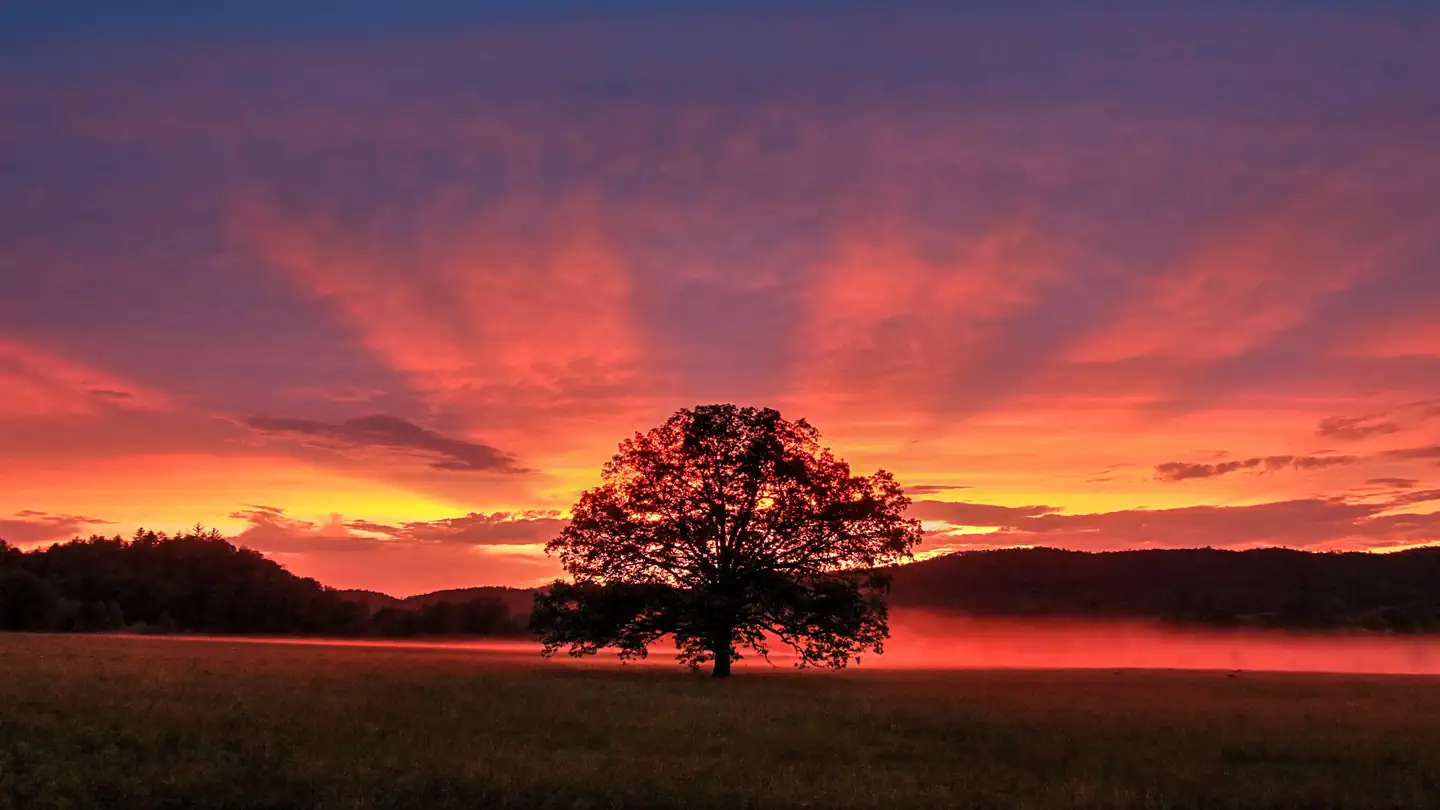 CADES COVE CAMPGROUND photo 5