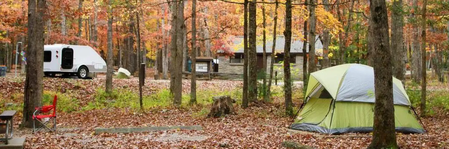 CADES COVE GROUP photo