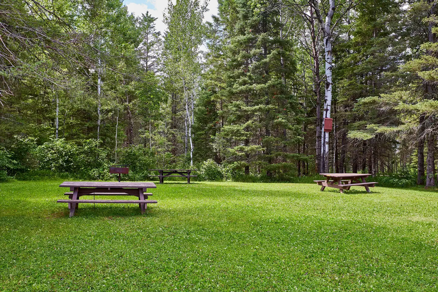 CADOTTE LAKE photo 5