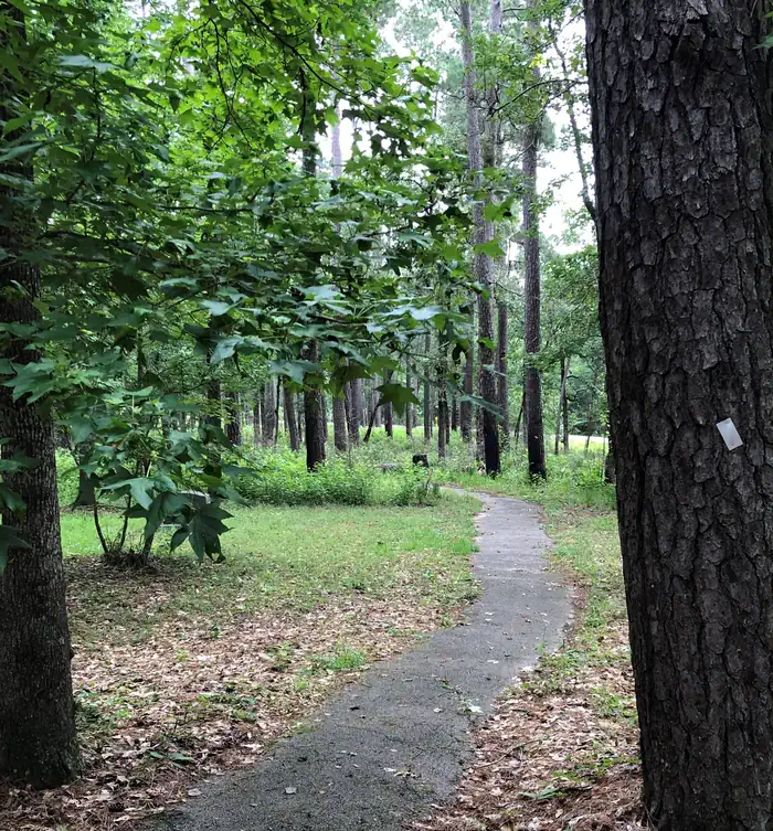 CAGLE RECREATION AREA photo 4
