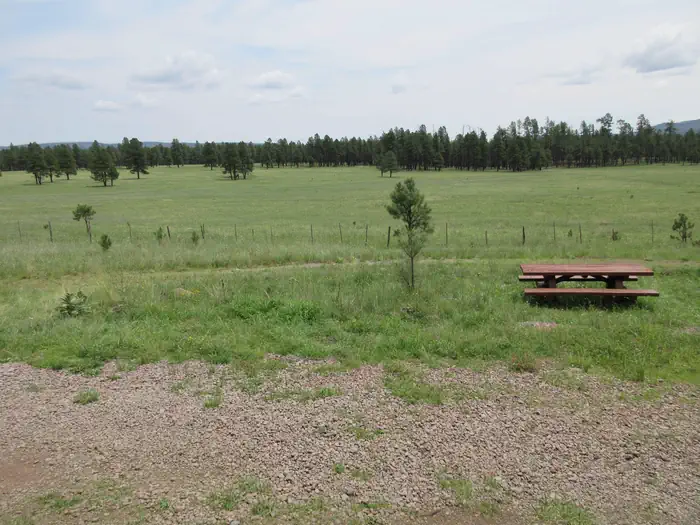 CALDWELL CABIN photo 2