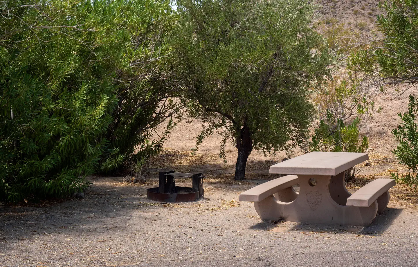 Callville Bay Campground photo 2