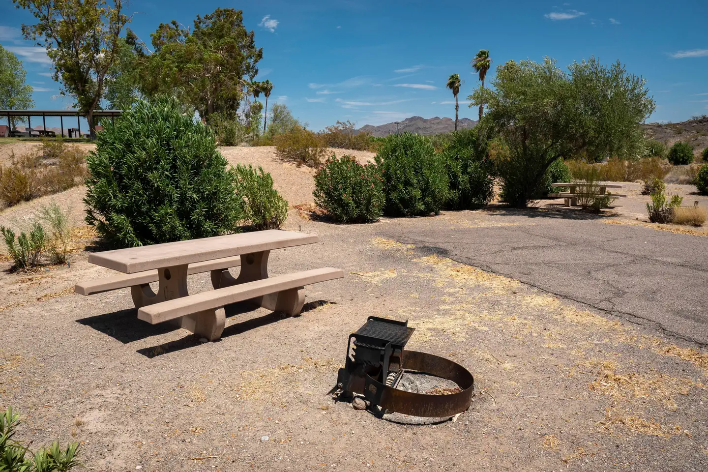 Callville Bay Campground photo 3