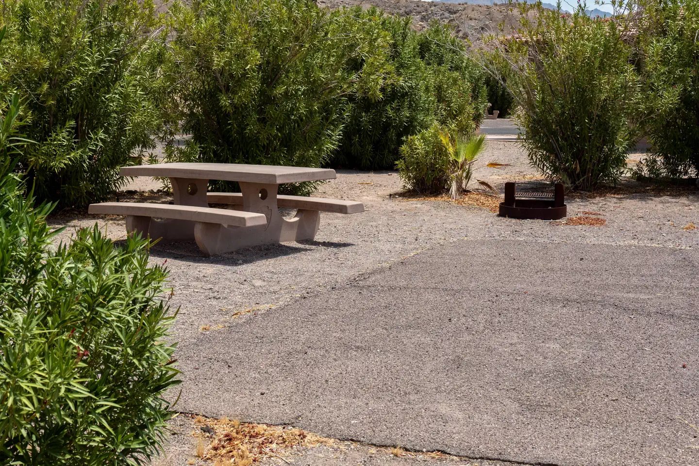 Callville Bay Campground photo 4