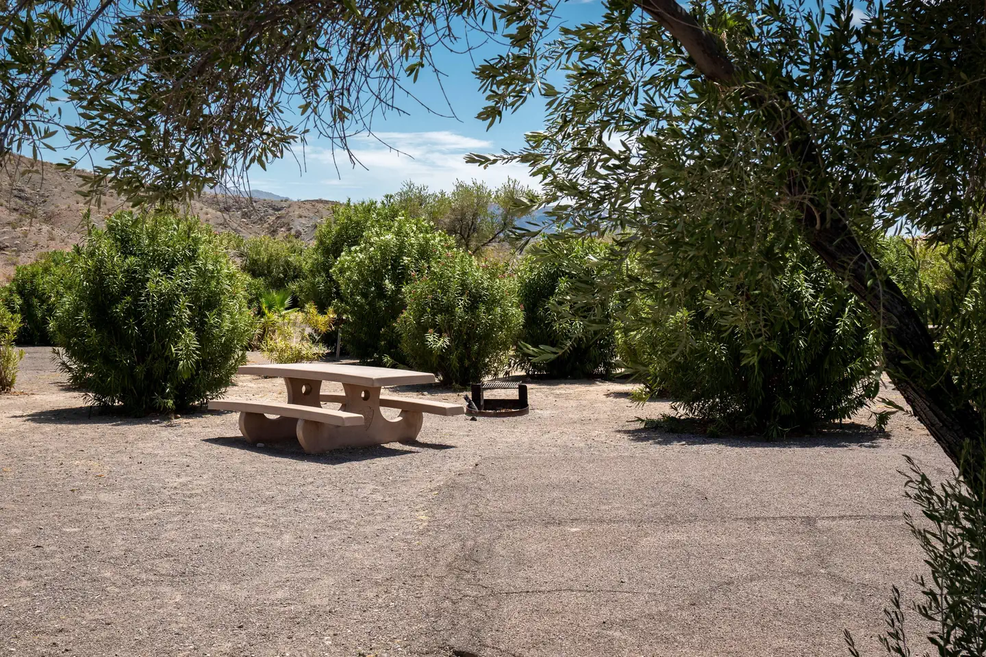 Callville Bay Campground photo 5