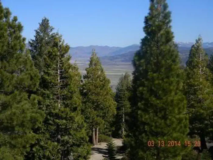 CALPINE LOOKOUT photo