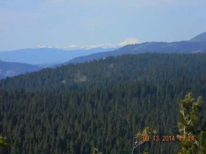 CALPINE LOOKOUT photo 3