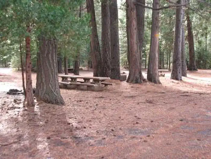 CAMP 4 GROUP CAMPGROUND photo 2