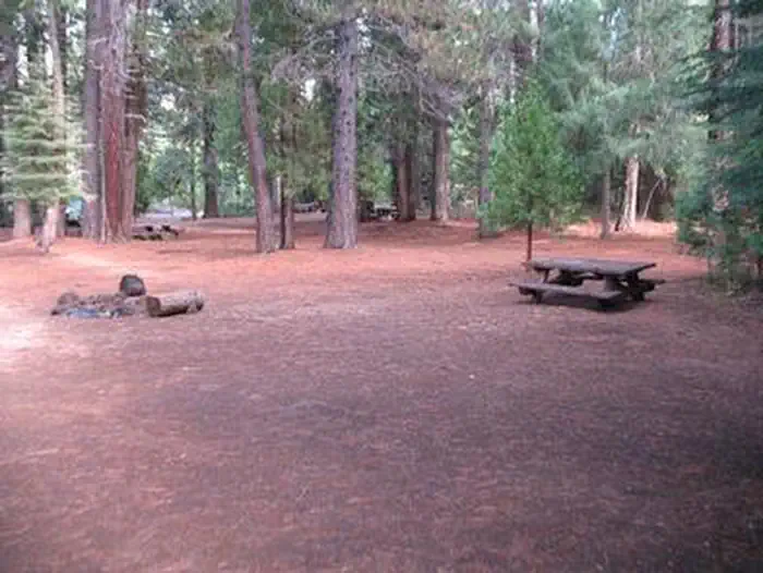 CAMP 4 GROUP CAMPGROUND photo 4