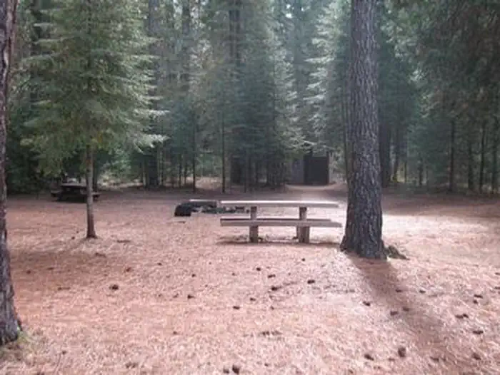 CAMP 4 GROUP CAMPGROUND photo 5