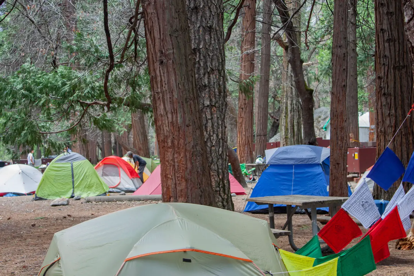 Camp 4 photo 4