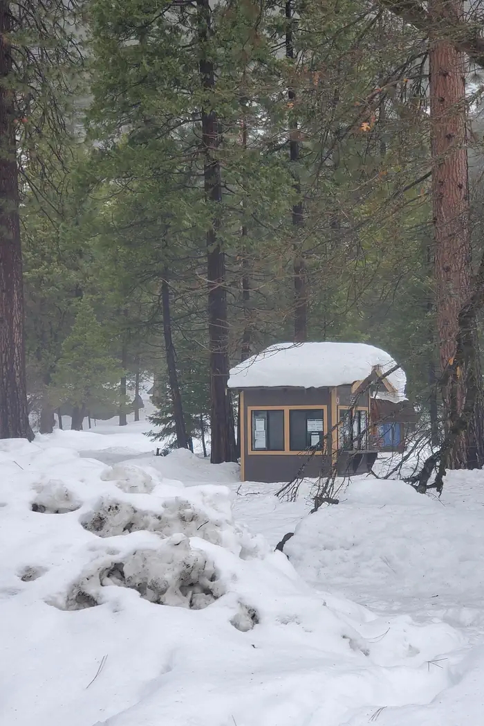 Camp 4 photo 5