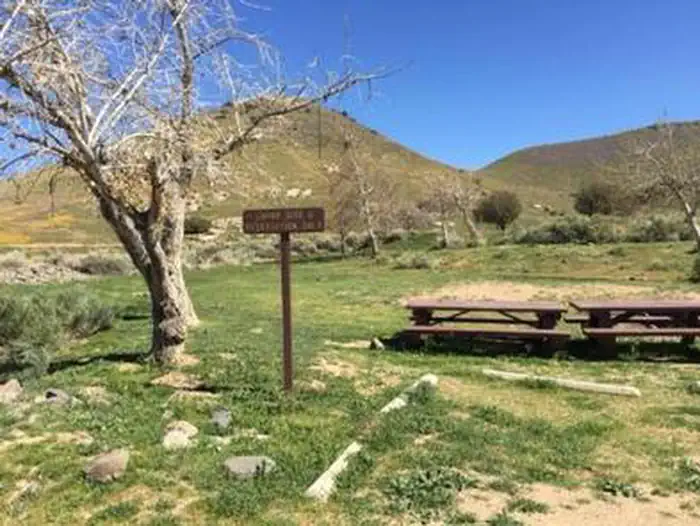 CAMP 9 photo 5