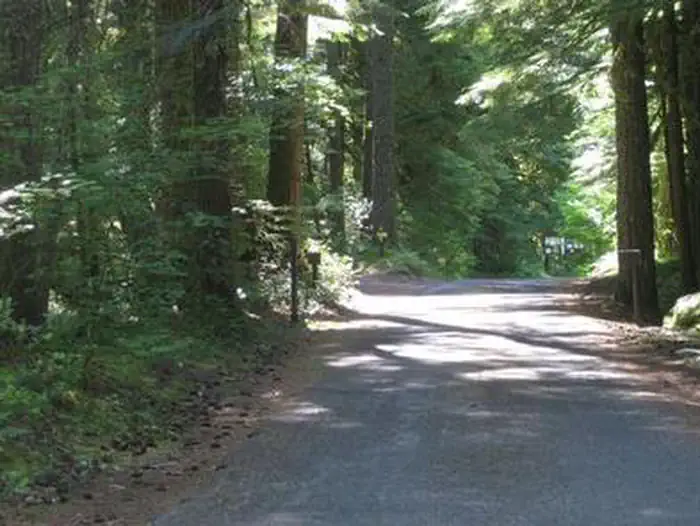 CAMP CREEK photo 2