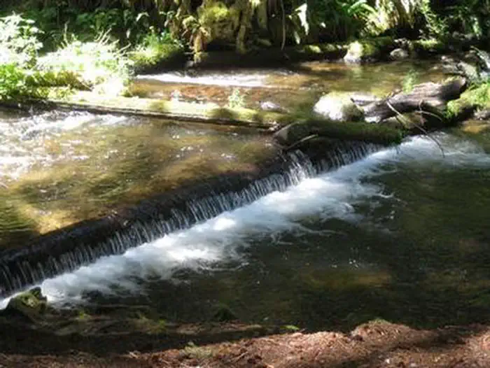 CAMP CREEK photo 5