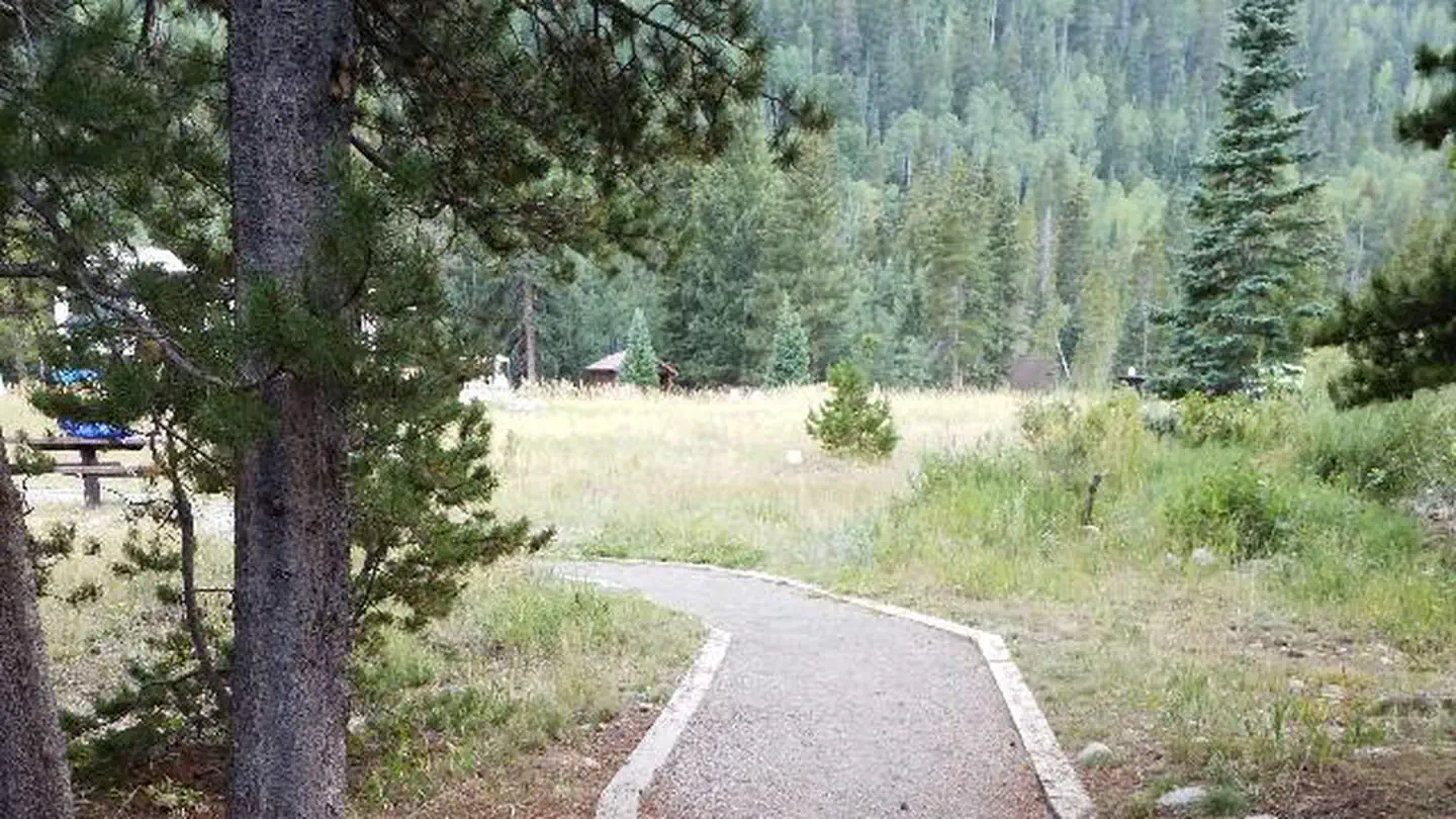 CAMP DICK photo