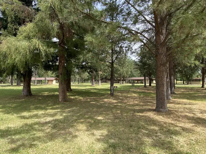 Camp Discovery Group Camp (Red Bluff Recreation Area) photo 3