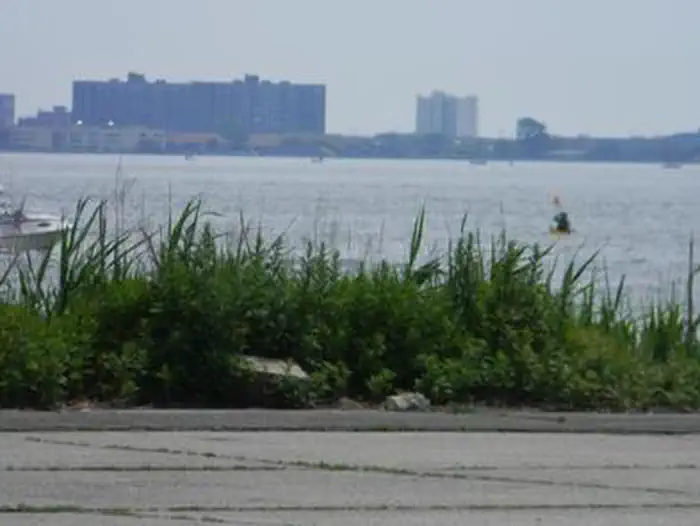 CAMP GATEWAY- BROOKLYN NY photo 5