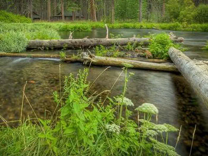 CAMP SHERMAN CAMPGROUND photo