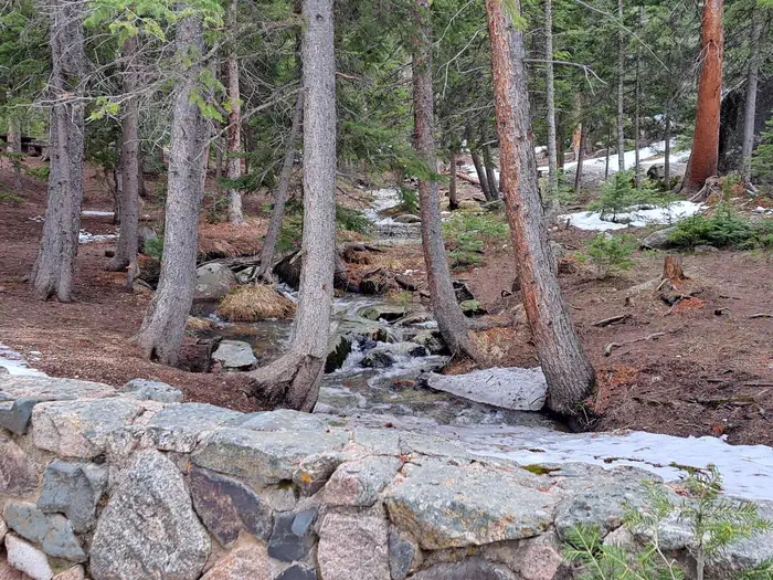 Campbell Creek Campground photo 3