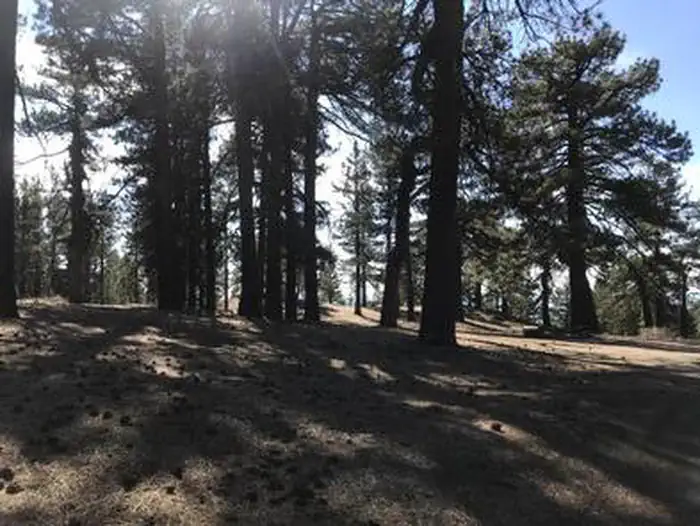 CAMPO ALTO CAMPGROUND photo