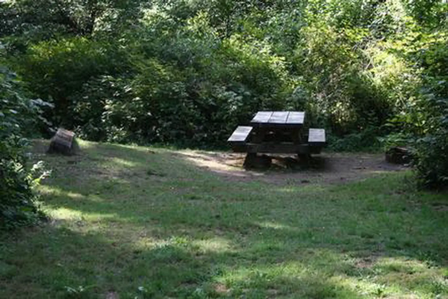 CANAL CREEK photo 3