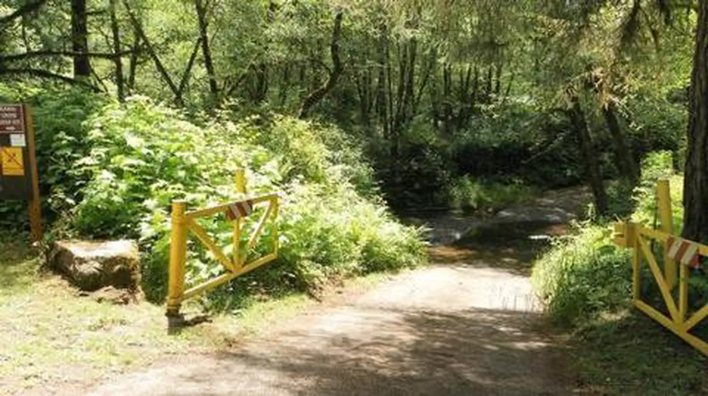 CANAL CREEK photo 4