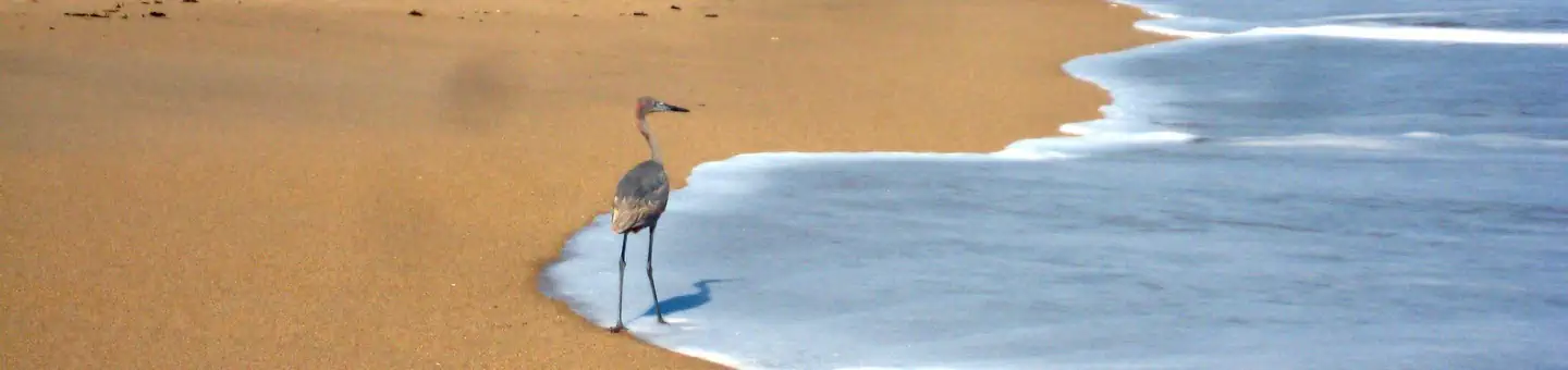 Canaveral National Seashore Permits photo