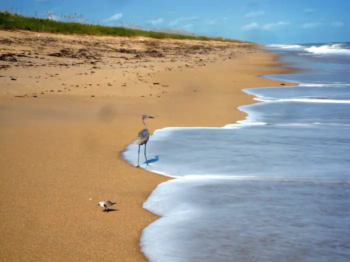 Canaveral National Seashore Permits photo 2