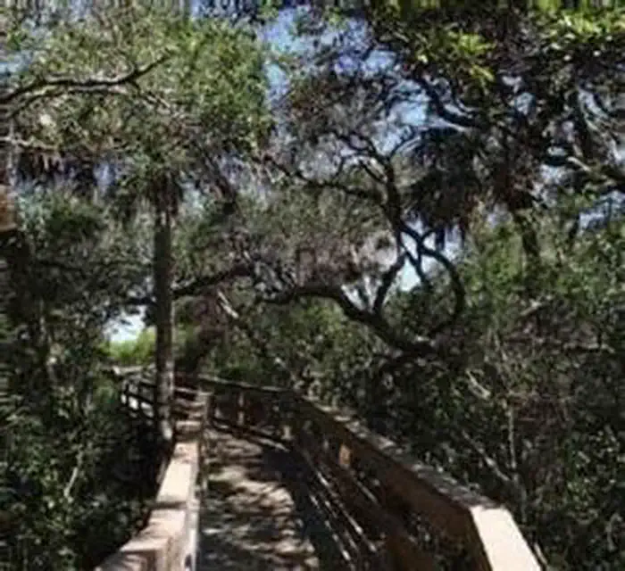 Canaveral National Seashore Permits photo 4