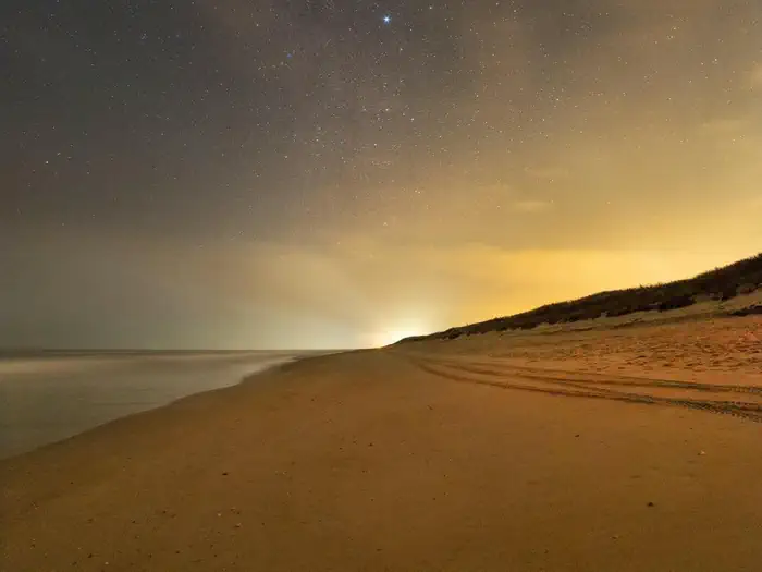Canaveral National Seashore Turtle Watch Tours photo 2