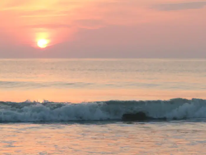 Canaveral National Seashore Turtle Watch Tours photo 3