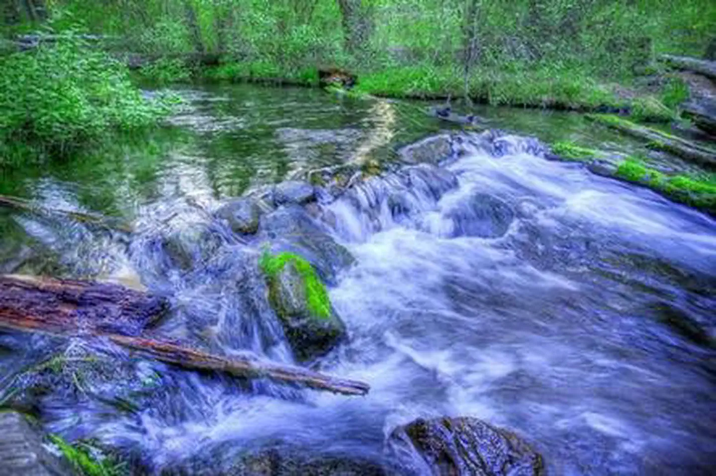 CANDLE CREEK CAMPGROUND photo