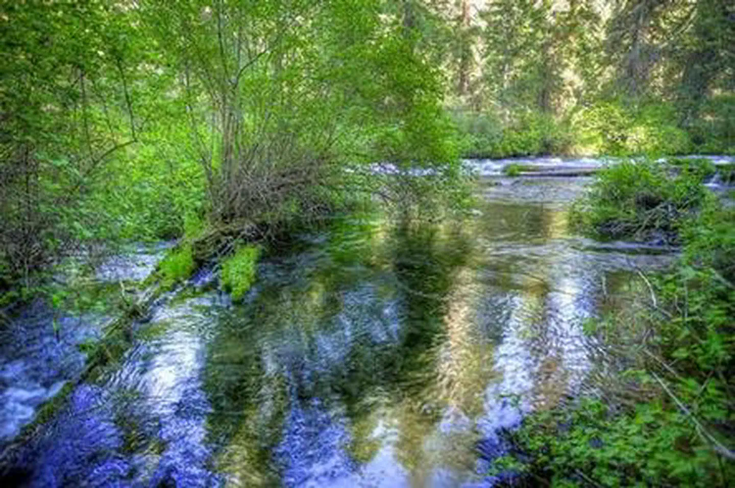 CANDLE CREEK CAMPGROUND photo 5
