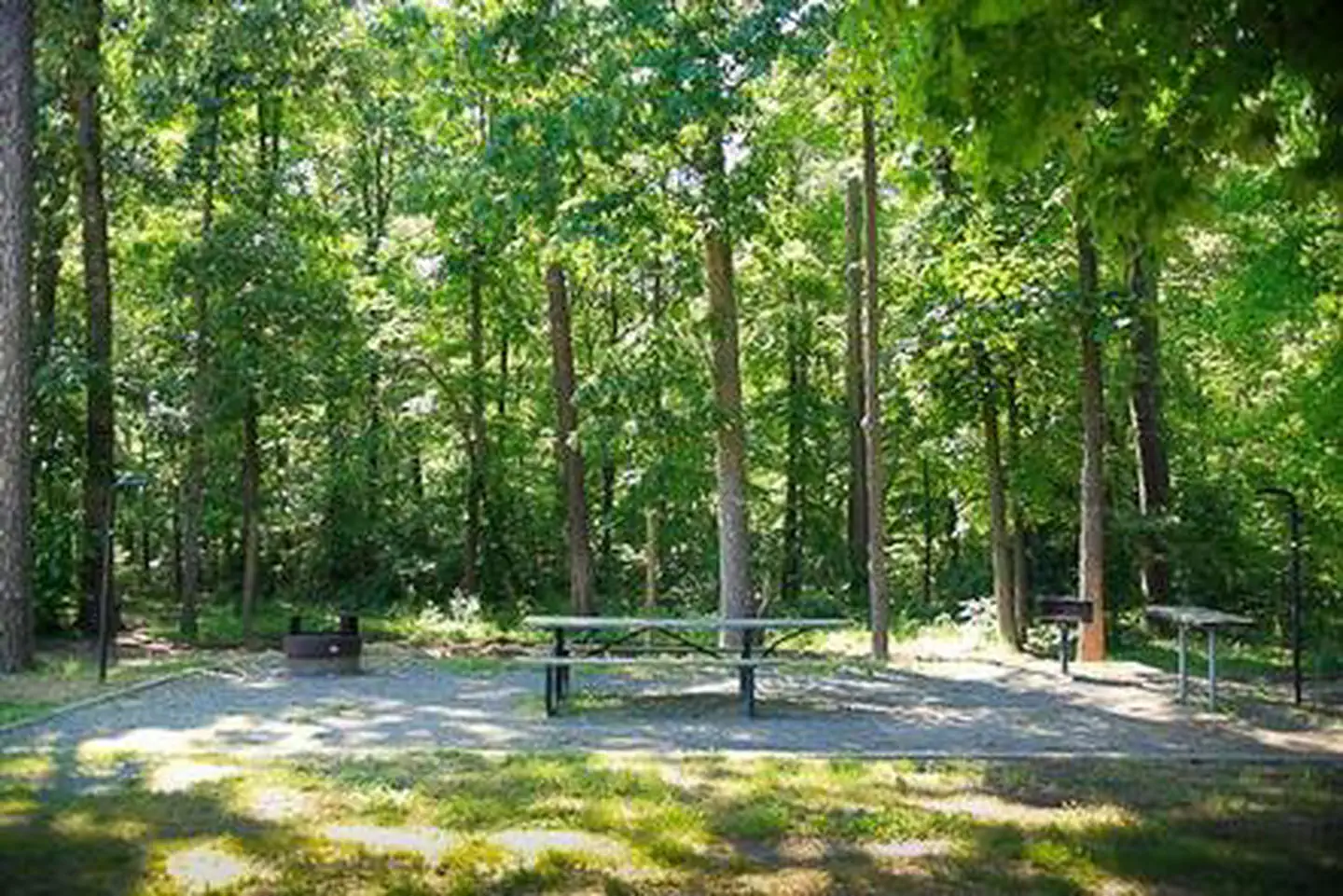 CANEBRAKE HORSE CAMP photo 5