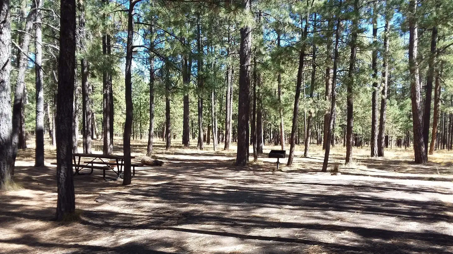 CANYON POINT photo