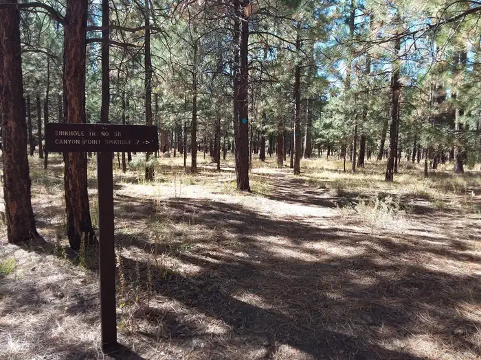 CANYON POINT photo 4