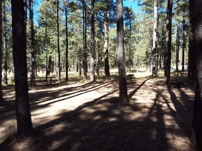 CANYON POINT photo 5