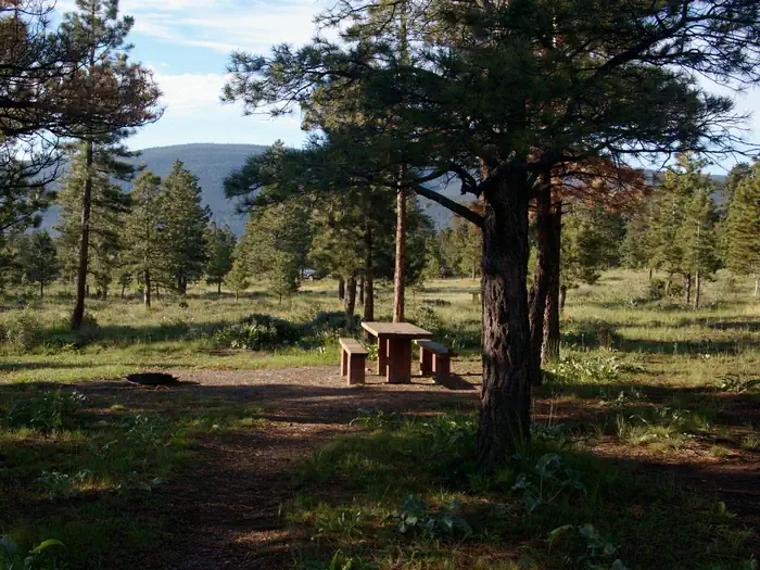 CANYON RIM photo 4