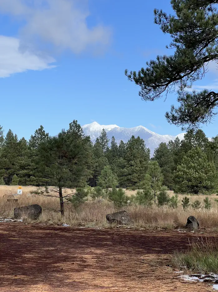 Canyon Vista photo 3