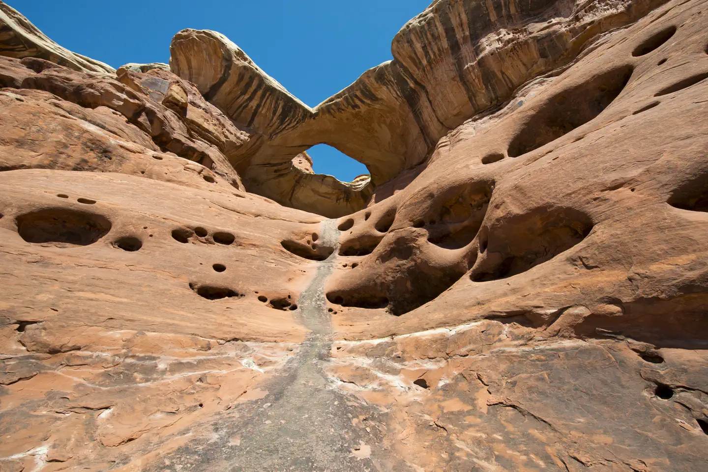 Canyonlands National Park Needles District Campground photo 3