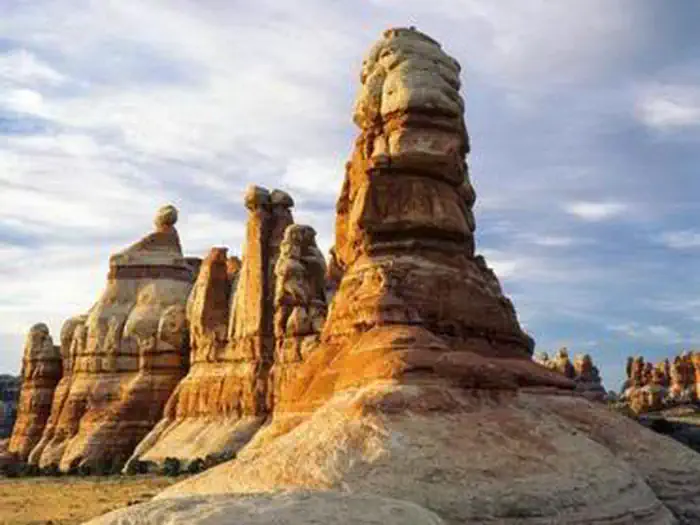 Canyonlands National Park Needles District Campground photo 4