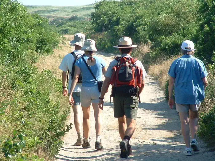 CAPE COD NATIONAL SEASHORE RANGER-GUIDED PROGRAMS photo 3