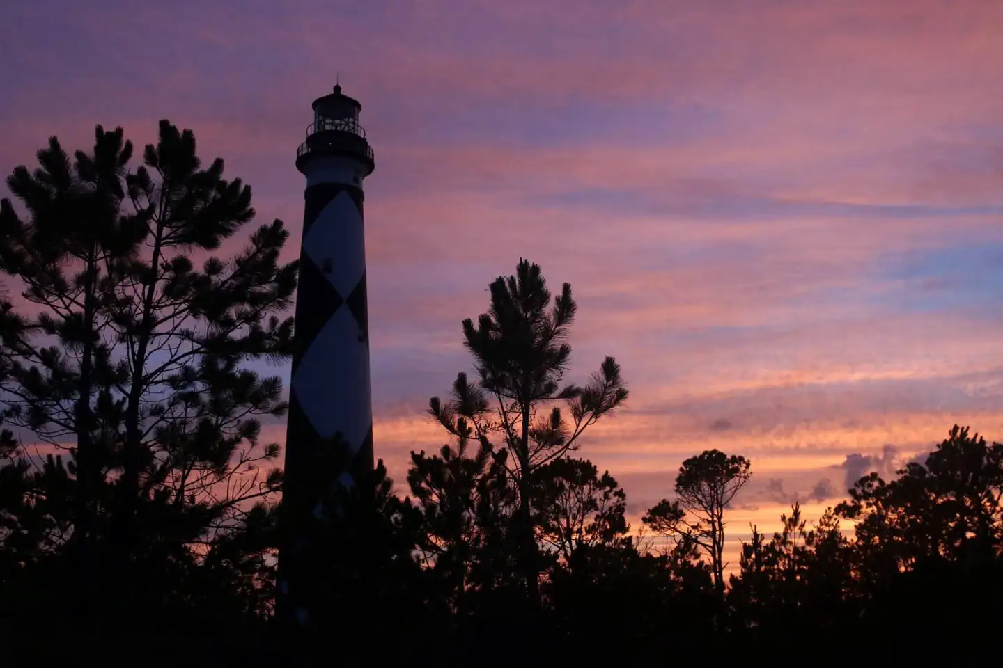 Cape Lookout National Seashore Tours photo 2
