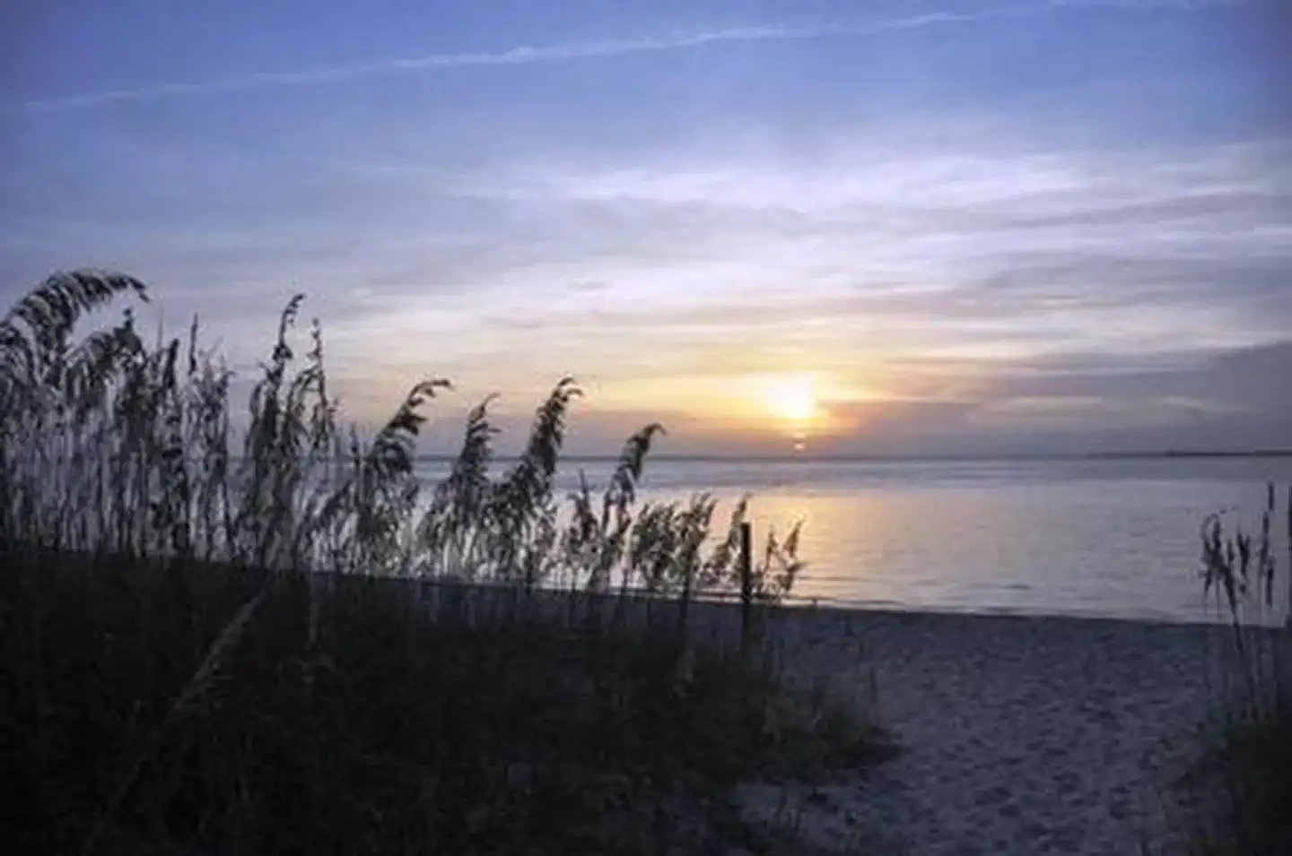 Cape Lookout National Seashore Tours photo 5