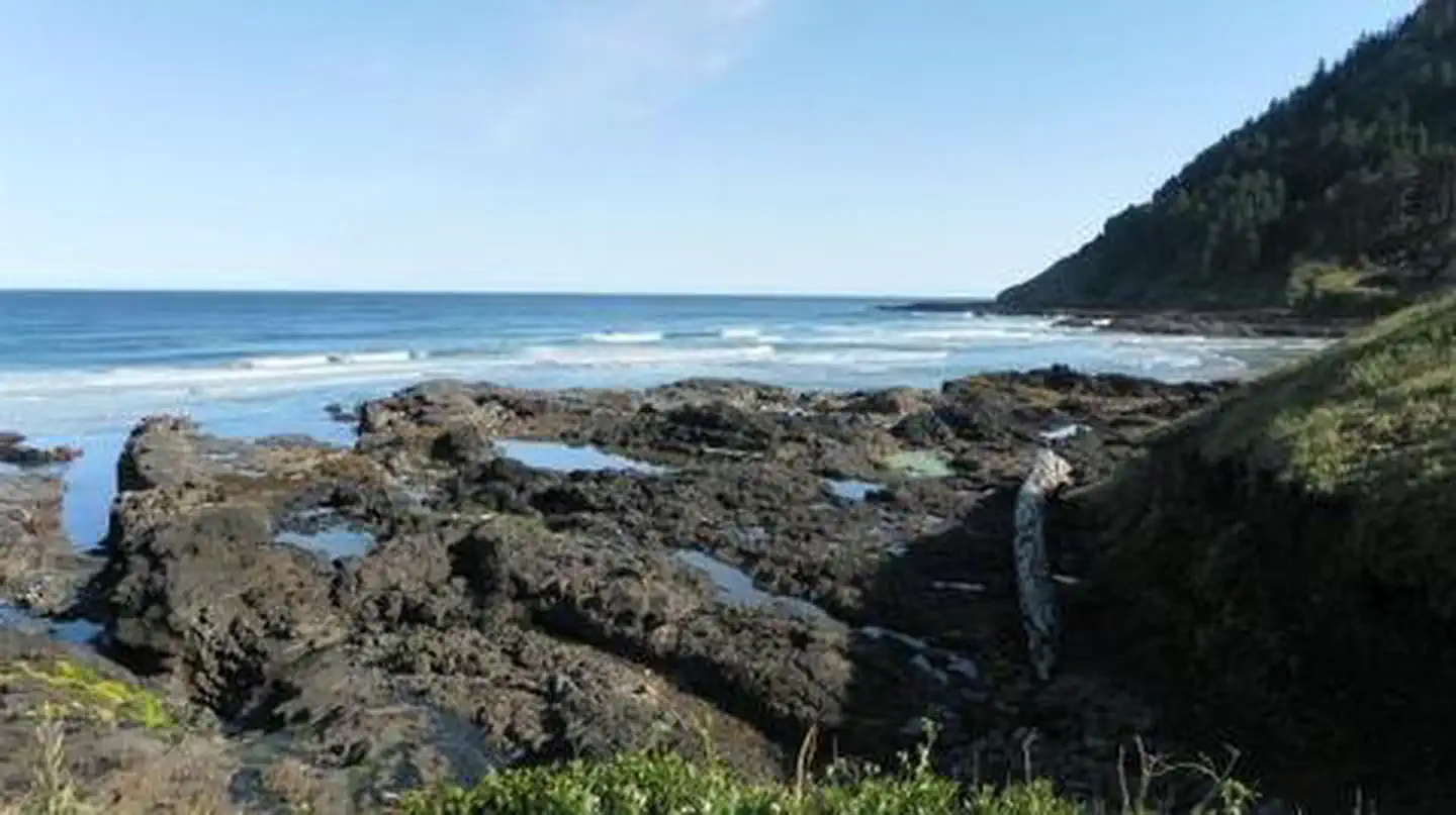 CAPE PERPETUA photo 3